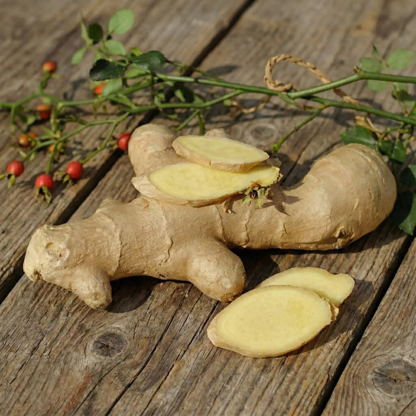 Extrait de Racines de Gingembre