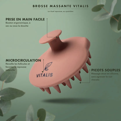 Brosse stimulante & accélératrice de pousse